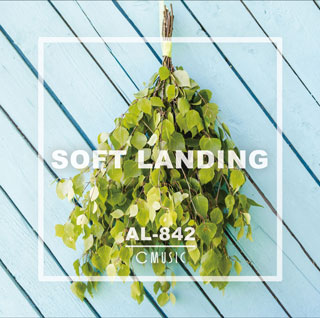 Al842