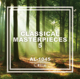 Al1045